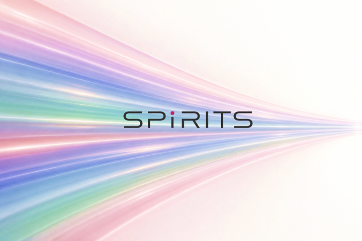 回線接続サービス SPiRITS